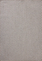Loloi Amber Lewis Topanga Collection TOP-02 Natural/Silver 3'-11" x 5'-11" Indoor/Outdoor Accent Rug