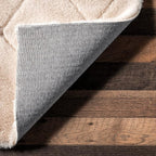 nuLOOM 2'6" x 8' Cozy Plush Area Rug, Machine Washable, Non-Slip, Soft Fluffy Shag Carpet for Living Room Bedroom Kids Room Nursery Home Decor, Amy Beige